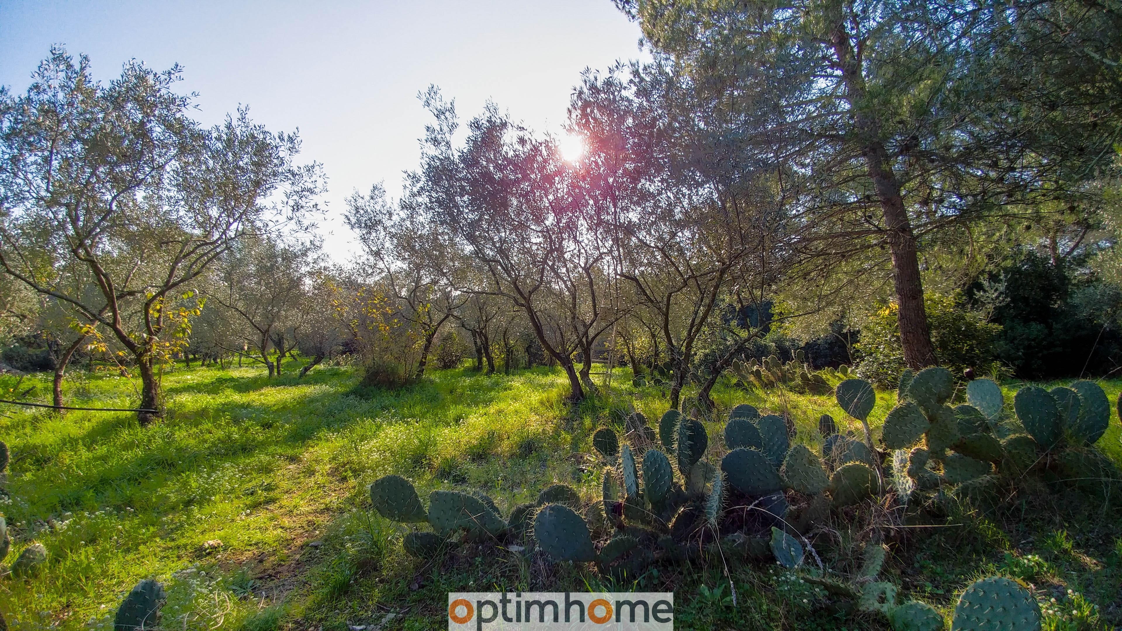 Nîmes Collines quasiment en centre-ville, Terrain de 2020 m² en position dominante avec belle vue dé